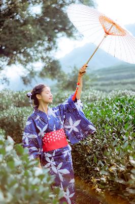 樱花动漫在线观看